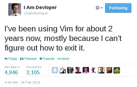 I am Developer - Vim