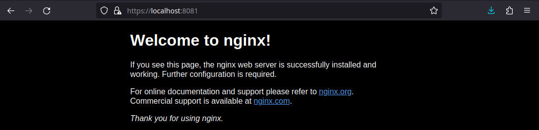 NGINX HTTP/2 Docker Ingress