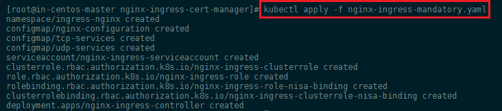NGINX Ingress for your Kubernetes Cluster